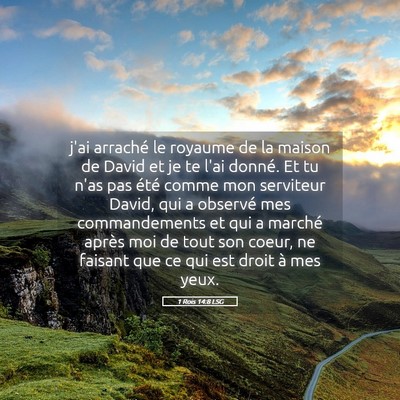 Picture 05 - 1 Rois 14:8 LSG - j'ai arraché le royaume de la maison de David et - Bible Verse Picture