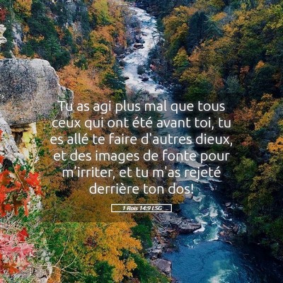 Picture 05 - 1 Rois 14:9 LSG - Tu as agi plus mal que tous ceux qui ont été - Bible Verse Picture