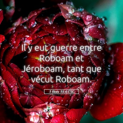 Picture 05 - 1 Rois 15:6 LSG - Il y eut guerre entre Roboam et Jéroboam, tant - Bible Verse Picture