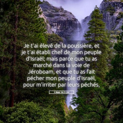 Picture 05 - 1 Rois 16:2 LSG - Je t'ai élevé de la poussière, et je t'ai - Bible Verse Picture