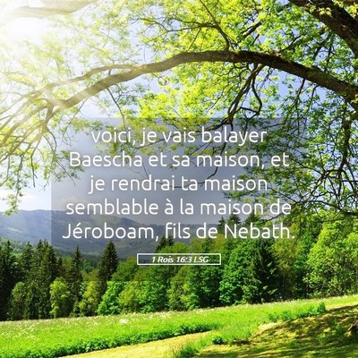 Picture 05 - 1 Rois 16:3 LSG - voici, je vais balayer Baescha et sa maison, et - Bible Verse Picture