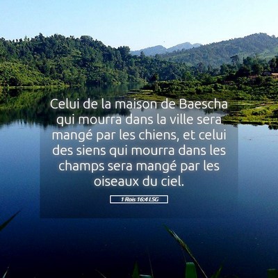 Picture 05 - 1 Rois 16:4 LSG - Celui de la maison de Baescha qui mourra dans la - Bible Verse Picture