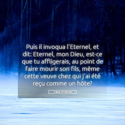 Picture 05 - 1 Rois 17:20 LSG - Puis il invoqua l'Eternel, et dit: Eternel, mon - Bible Verse Picture