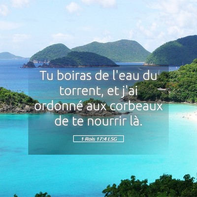 Picture 05 - 1 Rois 17:4 LSG - Tu boiras de l'eau du torrent, et j'ai ordonné - Bible Verse Picture