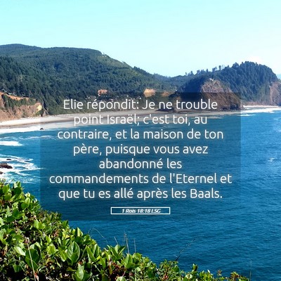 Picture 05 - 1 Rois 18:18 LSG - Elie répondit: Je ne trouble point Israël; - Bible Verse Picture