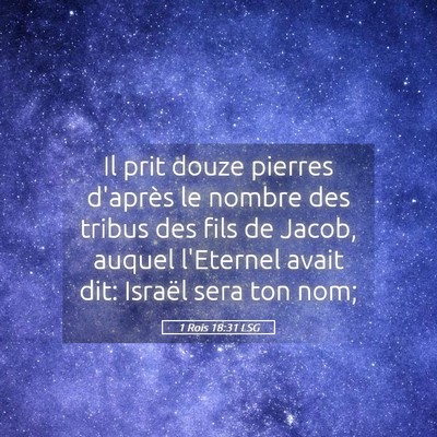 Picture 05 - 1 Rois 18:31 LSG - Il prit douze pierres d'après le nombre des - Bible Verse Picture