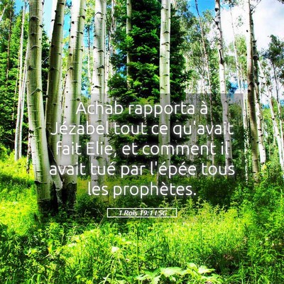 Picture 05 - 1 Rois 19:1 LSG - Achab rapporta à Jézabel tout ce qu'avait fait - Bible Verse Picture