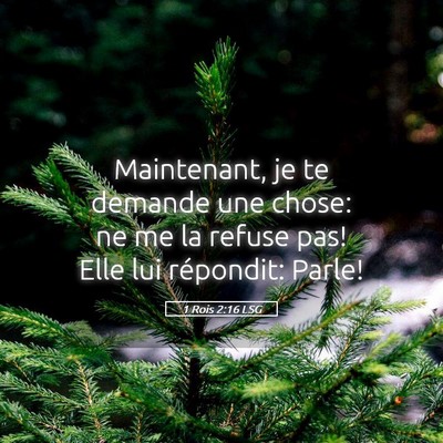 Picture 05 - 1 Rois 2:16 LSG - Maintenant, je te demande une chose: ne me la - Bible Verse Picture