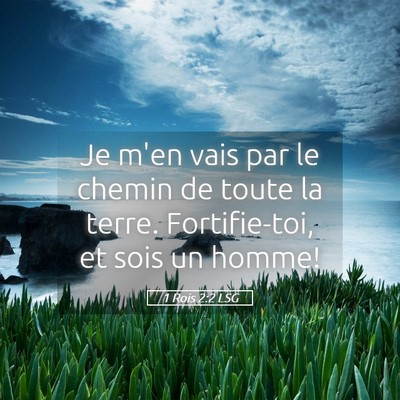 Picture 05 - 1 Rois 2:2 LSG - Je m'en vais par le chemin de toute la terre. - Bible Verse Picture