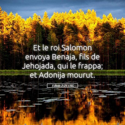 Picture 05 - 1 Rois 2:25 LSG - Et le roi Salomon envoya Benaja, fils de - Bible Verse Picture