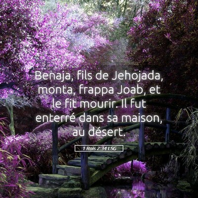 Picture 05 - 1 Rois 2:34 LSG - Benaja, fils de Jehojada, monta, frappa Joab, et - Bible Verse Picture