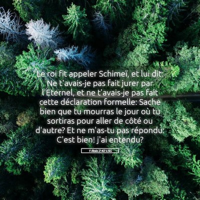 Picture 05 - 1 Rois 2:42 LSG - Le roi fit appeler Schimeï, et lui dit: Ne - Bible Verse Picture