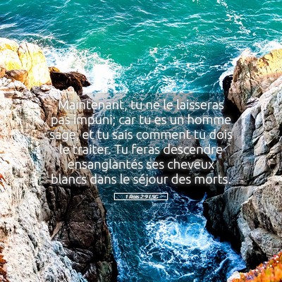 Picture 05 - 1 Rois 2:9 LSG - Maintenant, tu ne le laisseras pas impuni; car tu - Bible Verse Picture