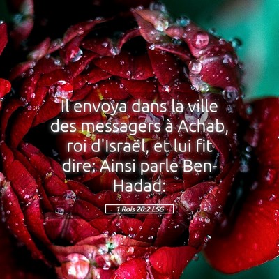 Picture 05 - 1 Rois 20:2 LSG - Il envoya dans la ville des messagers à Achab, - Bible Verse Picture