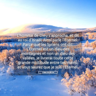 Picture 05 - 1 Rois 20:28 LSG - L'homme de Dieu s'approcha, et dit au roi - Bible Verse Picture