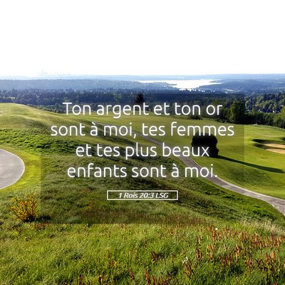 Picture 05 - 1 Rois 20:3 LSG - Ton argent et ton or sont à moi, tes femmes et - Bible Verse Picture