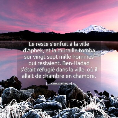 Picture 05 - 1 Rois 20:30 LSG - Le reste s'enfuit à la ville d'Aphek, et la - Bible Verse Picture