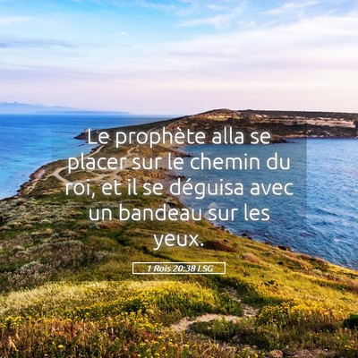 Picture 05 - 1 Rois 20:38 LSG - Le prophète alla se placer sur le chemin du roi, - Bible Verse Picture
