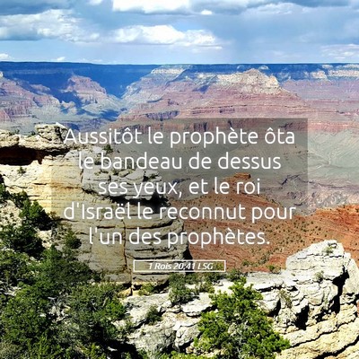 Picture 05 - 1 Rois 20:41 LSG - Aussitôt le prophète ôta le bandeau de dessus - Bible Verse Picture