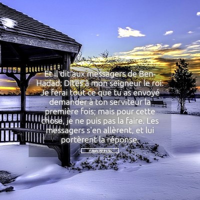Picture 05 - 1 Rois 20:9 LSG - Et il dit aux messagers de Ben-Hadad: Dites à - Bible Verse Picture