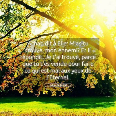 Picture 05 - 1 Rois 21:20 LSG - Achab dit à Elie: M'as-tu trouvé, mon ennemi? - Bible Verse Picture