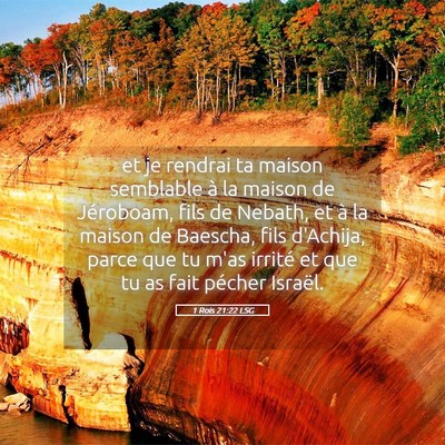 Picture 05 - 1 Rois 21:22 LSG - et je rendrai ta maison semblable à la maison de - Bible Verse Picture