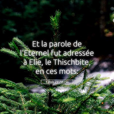 Picture 05 - 1 Rois 21:28 LSG - Et la parole de l'Eternel fut adressée à Elie, - Bible Verse Picture