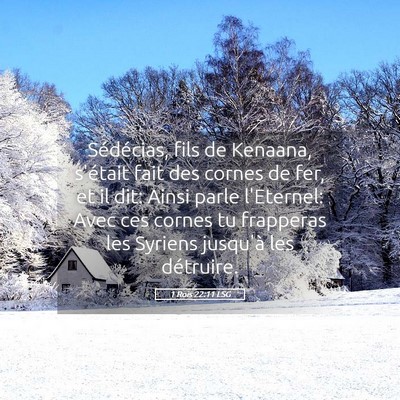 Picture 05 - 1 Rois 22:11 LSG - Sédécias, fils de Kenaana, s'était fait des - Bible Verse Picture