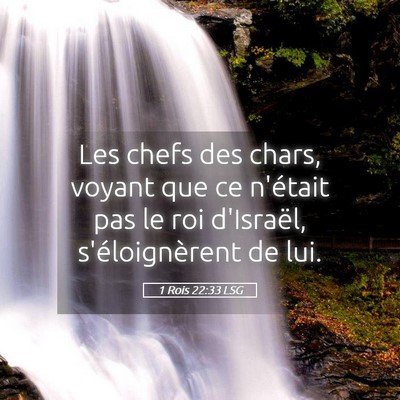 Picture 05 - 1 Rois 22:33 LSG - Les chefs des chars, voyant que ce n'était pas - Bible Verse Picture