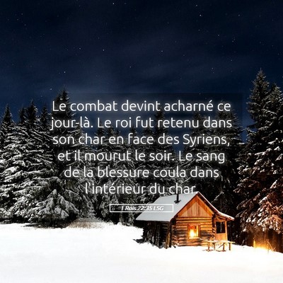 Picture 05 - 1 Rois 22:35 LSG - Le combat devint acharné ce jour-là. Le roi fut - Bible Verse Picture