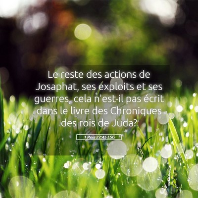 Picture 05 - 1 Rois 22:45 LSG - Le reste des actions de Josaphat, ses exploits et - Bible Verse Picture