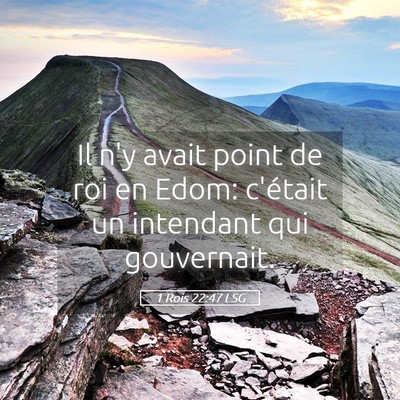Picture 05 - 1 Rois 22:47 LSG - Il n'y avait point de roi en Edom: c'était un - Bible Verse Picture