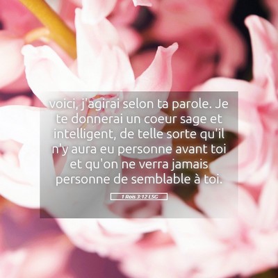 Picture 05 - 1 Rois 3:12 LSG - voici, j'agirai selon ta parole. Je te donnerai - Bible Verse Picture