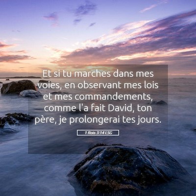 Picture 05 - 1 Rois 3:14 LSG - Et si tu marches dans mes voies, en observant mes - Bible Verse Picture