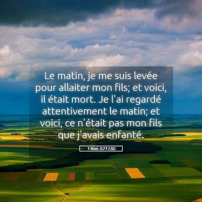 Picture 05 - 1 Rois 3:21 LSG - Le matin, je me suis levée pour allaiter mon - Bible Verse Picture