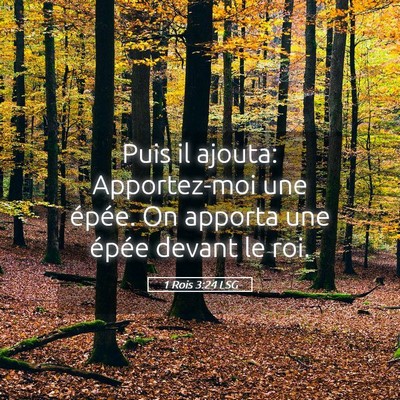 Picture 05 - 1 Rois 3:24 LSG - Puis il ajouta: Apportez-moi une épée. On - Bible Verse Picture