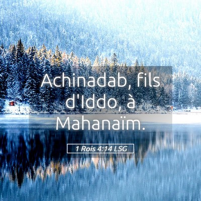 Picture 05 - 1 Rois 4:14 LSG - Achinadab, fils d'Iddo, à - Bible Verse Picture