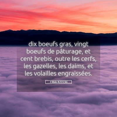 Picture 05 - 1 Rois 4:23 LSG - dix boeufs gras, vingt boeufs de pâturage, et - Bible Verse Picture