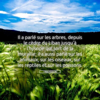 Picture 05 - 1 Rois 4:33 LSG - Il a parlé sur les arbres, depuis le cèdre du - Bible Verse Picture