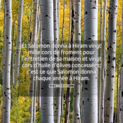 Picture 05 - 1 Rois 5:11 LSG - Et Salomon donna à Hiram vingt mille cors de - Bible Verse Picture
