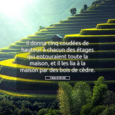 Picture 05 - 1 Rois 6:10 LSG - Il donna cinq coudées de hauteur à chacun des - Bible Verse Picture