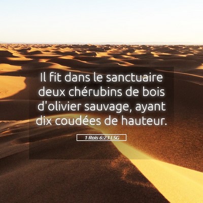 Picture 05 - 1 Rois 6:23 LSG - Il fit dans le sanctuaire deux chérubins de bois - Bible Verse Picture