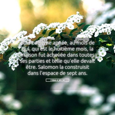 Picture 05 - 1 Rois 6:38 LSG - et la onzième année, au mois de Bul, qui est le - Bible Verse Picture