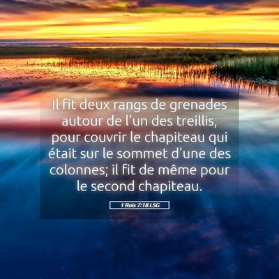 Picture 05 - 1 Rois 7:18 LSG - Il fit deux rangs de grenades autour de l'un des - Bible Verse Picture