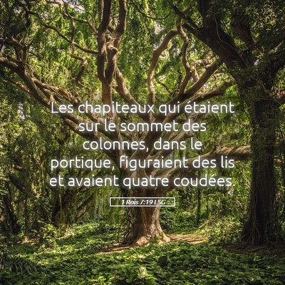 Picture 05 - 1 Rois 7:19 LSG - Les chapiteaux qui étaient sur le sommet des - Bible Verse Picture