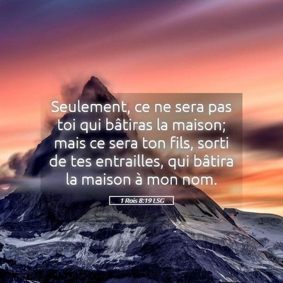 Picture 05 - 1 Rois 8:19 LSG - Seulement, ce ne sera pas toi qui bâtiras la - Bible Verse Picture