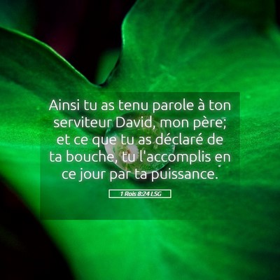 Picture 05 - 1 Rois 8:24 LSG - Ainsi tu as tenu parole à ton serviteur David, - Bible Verse Picture