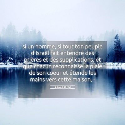 Picture 05 - 1 Rois 8:38 LSG - si un homme, si tout ton peuple d'Israël fait - Bible Verse Picture