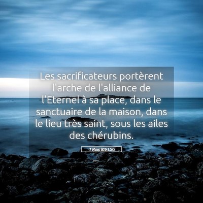 Picture 05 - 1 Rois 8:6 LSG - Les sacrificateurs portèrent l'arche de - Bible Verse Picture