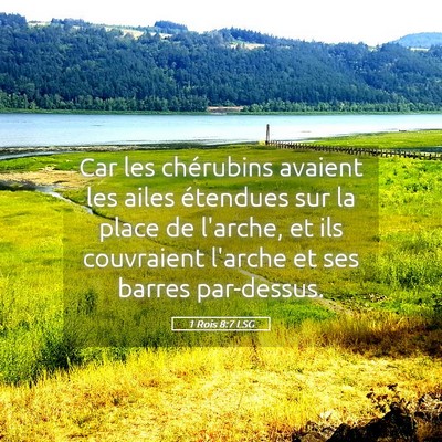 Picture 05 - 1 Rois 8:7 LSG - Car les chérubins avaient les ailes étendues - Bible Verse Picture